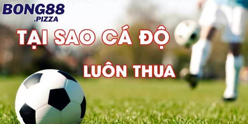 Giải Mã Tại Sao Cá Độ Bóng Đá Luôn Thua Và Cách Khắc Phục