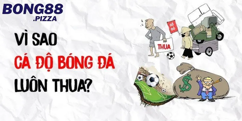 Lý giải tại sao cá độ bóng đá luôn thua?