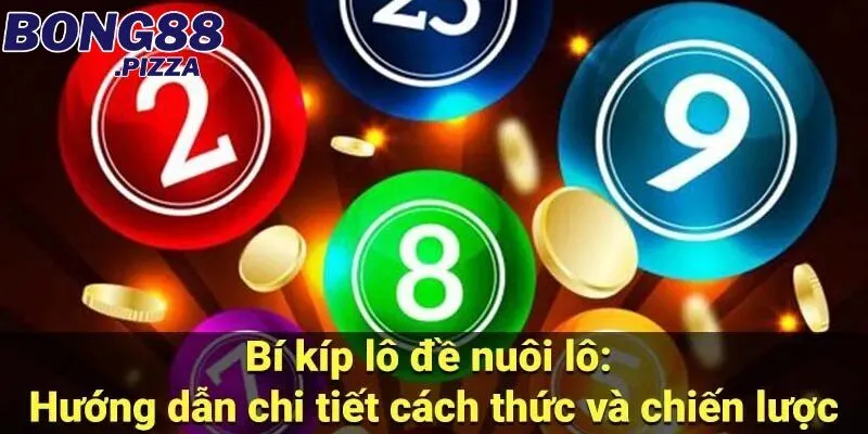 Mách Bạn Cách Nuôi Lô Đề Có Hiệu Quả Dẫn Đến Thành Công